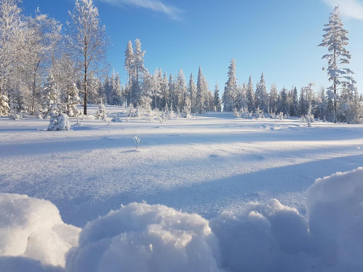 B&B Camp Aengra Lassekrog Eksteriør bilde